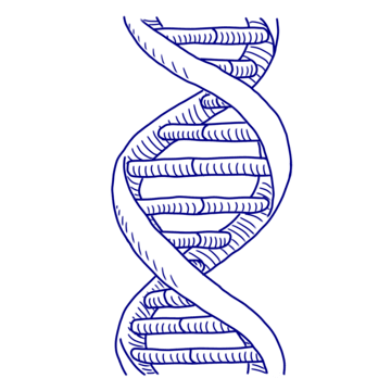 Biology Cell Structure